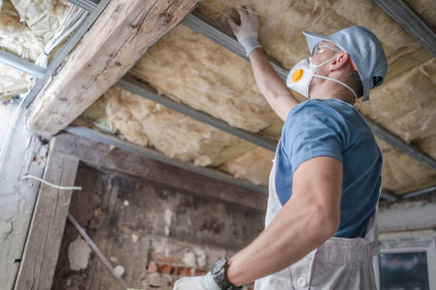 Best Insulation Materials and Products in Stapleton, AL