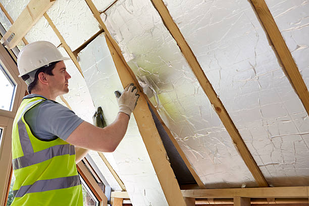 Best Types of Insulation in Stapleton, AL