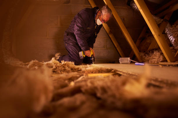 Best Insulation Installation Services in Stapleton, AL