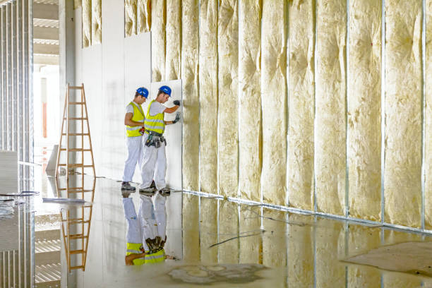 Best Residential Insulation in Stapleton, AL